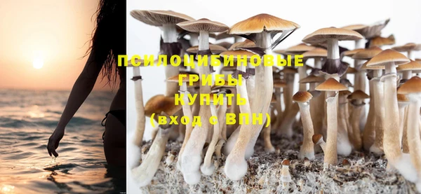 эйфоретик Дмитриев